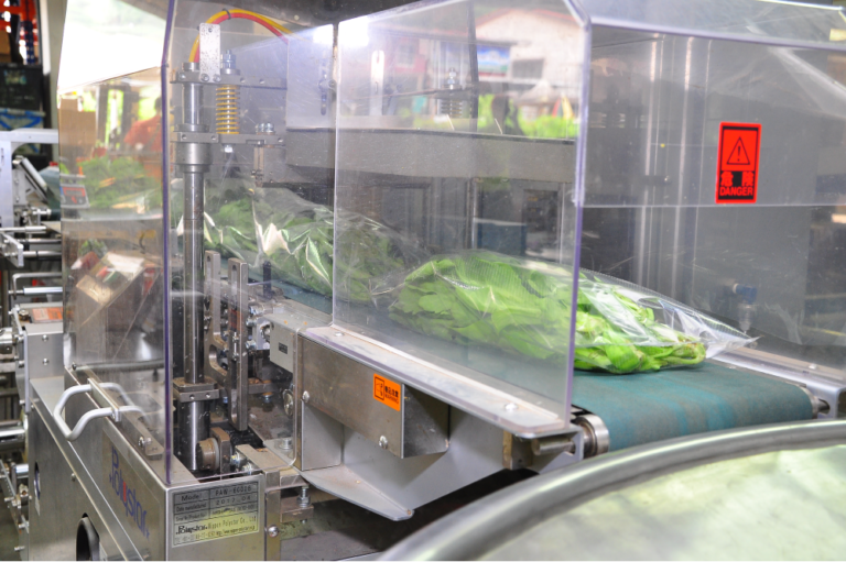 fruit-vegetable-packaging-machine-company-with-manpower-11