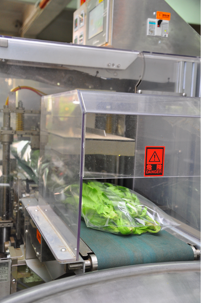 fruit-vegetable-packaging-machine-company-with-manpower-12