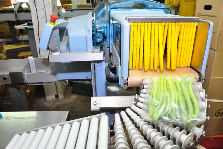 fruit-vegetable-packaging-machine-company-with-manpower-13