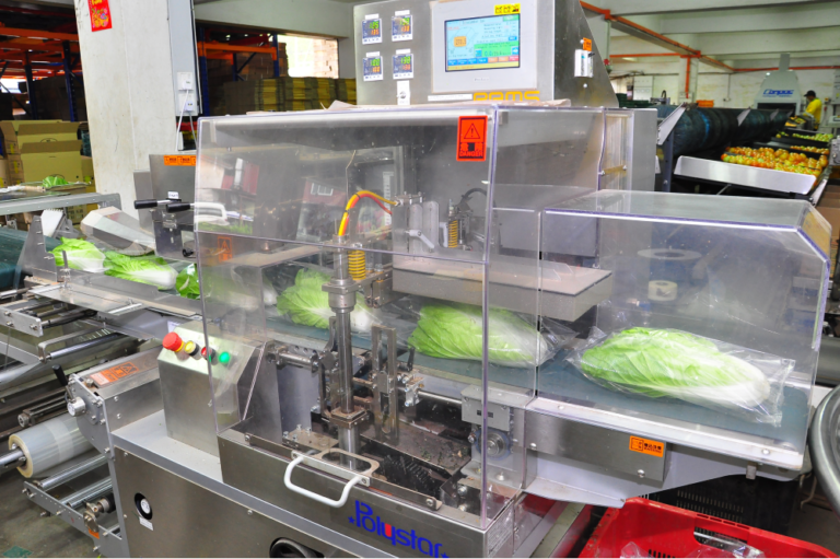 fruit-vegetable-packaging-machine-company-with-manpower-21